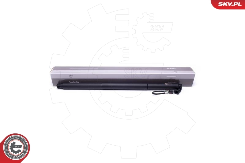 Electric Motor, tailgate